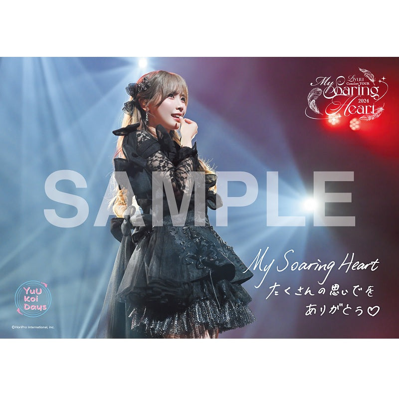 Blu-ray「Liyuu Concert TOUR2024「My Soaring Heart」~Tour Documentary~」